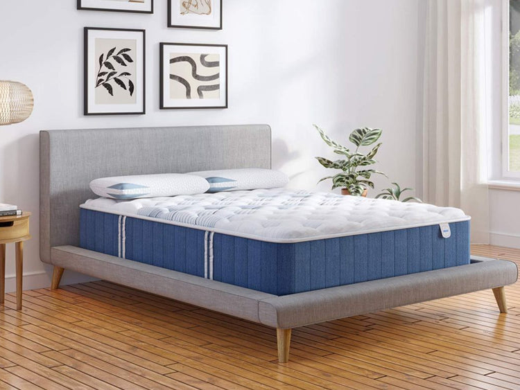 Trending Mattresses 